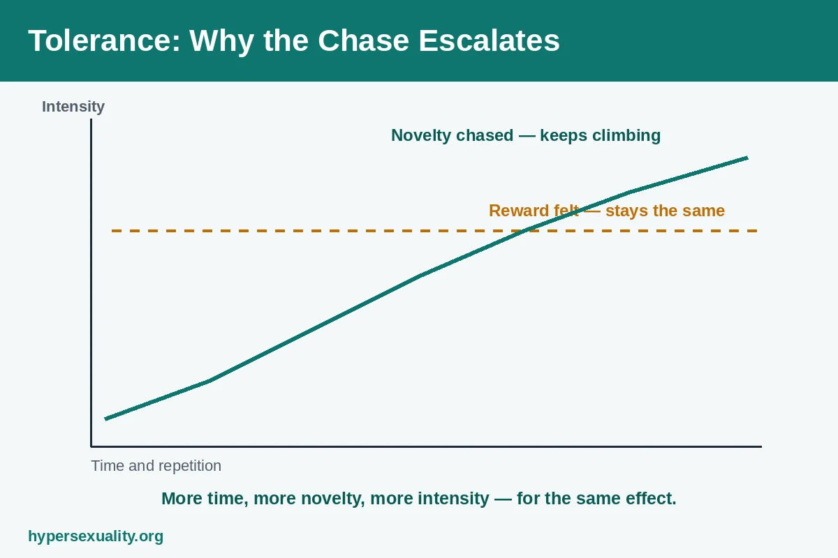 Escalation curve showing tolerance in hypersexuality, where stronger novelty is chased for the same reward effect