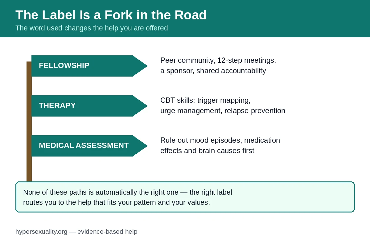 A signpost with three paths labelled fellowship, therapy and medical assessment, illustrating how the term used changes the help offered