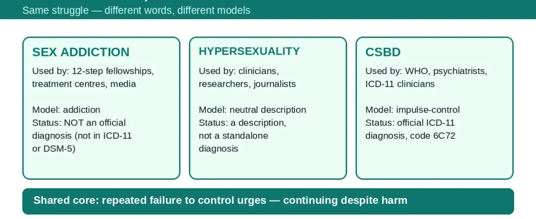 Sex Addiction, Hypersexuality, CSBD: Are They the Same Thing?
