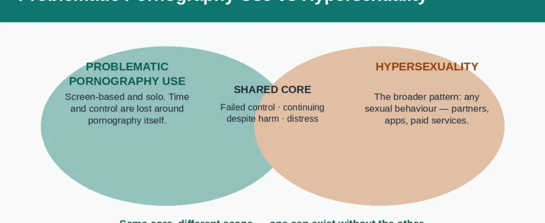 Problematic Pornography Use vs Hypersexuality: Overlap and Difference