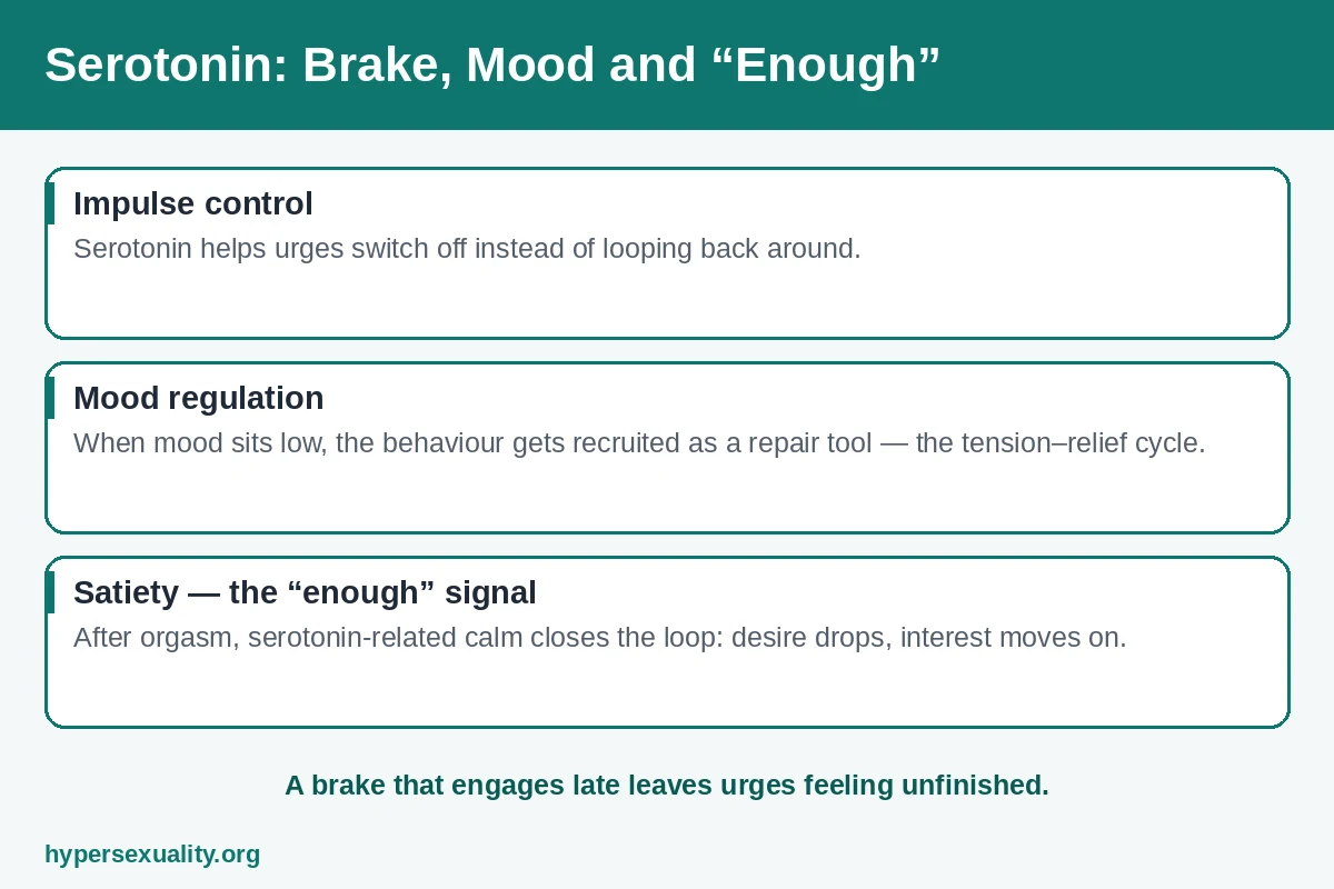 Diagram of serotonin's braking role in sexual urges, showing impulse control, mood and the satiety signal