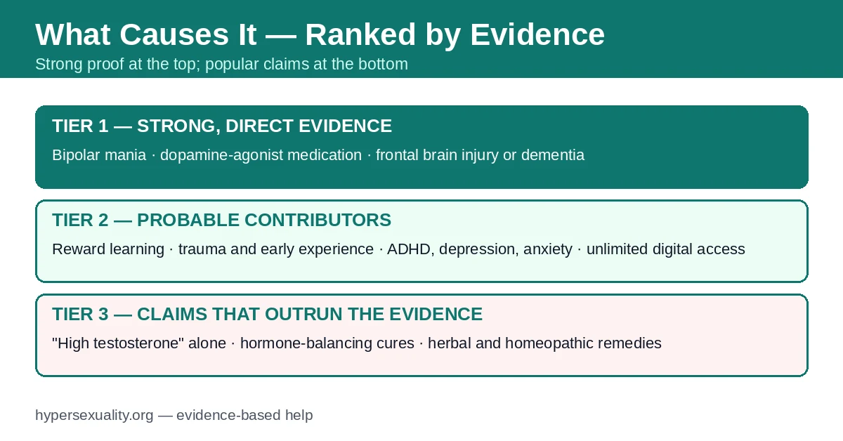 What Causes Hypersexuality? Causes Ranked by Evidence — Brain, Trauma, Medication, Mood